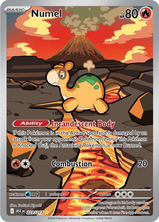 Numel 223/217 ASC